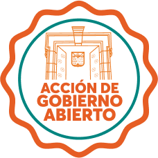 Accion Gobierno Abierto